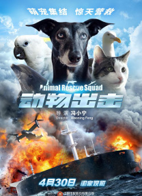 avav在线播放